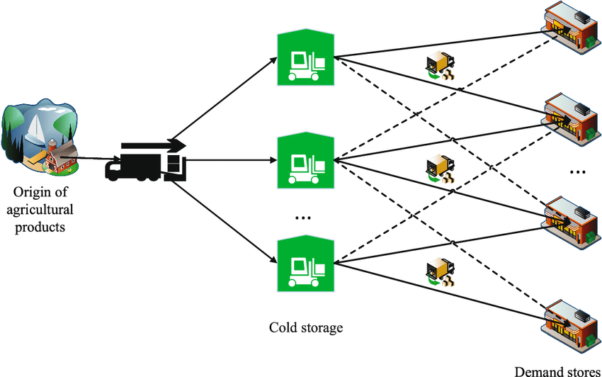 Domestic vegetable market and distribution network